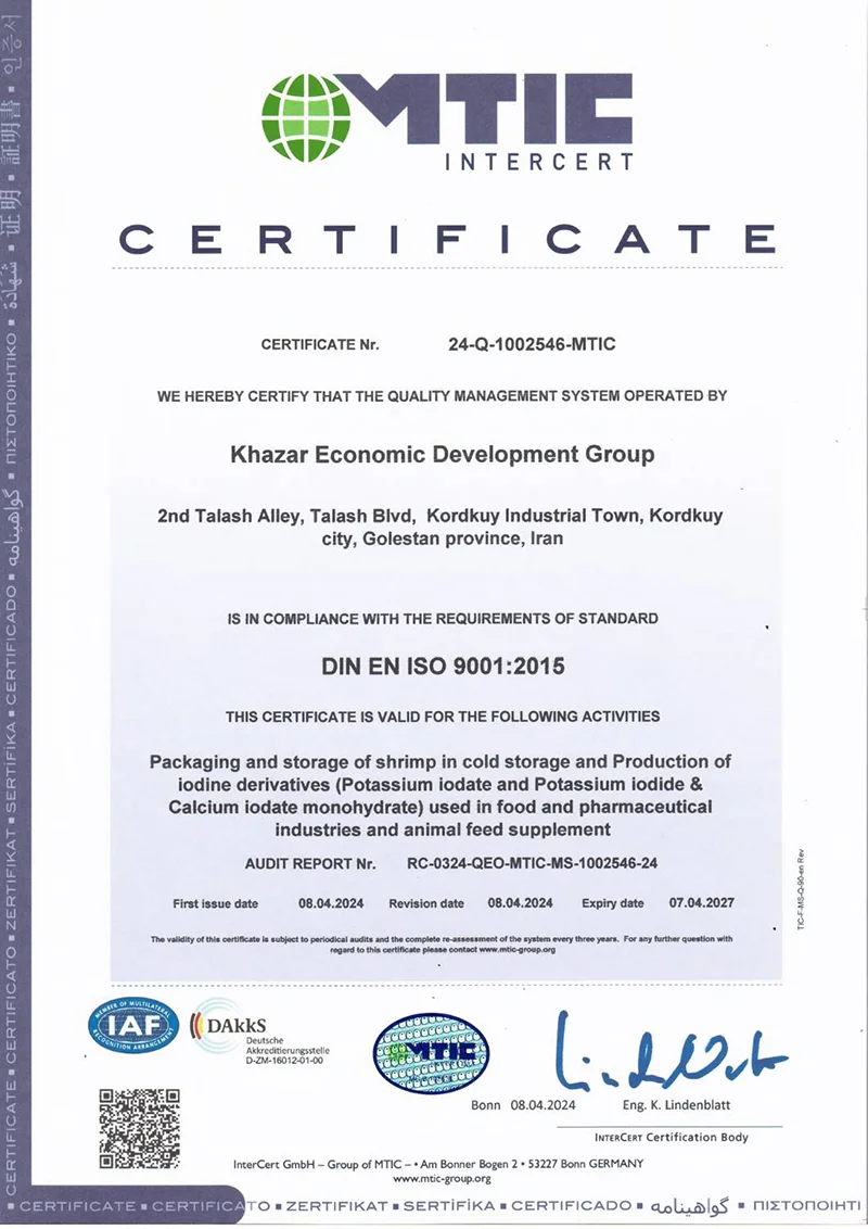 ISO 9001